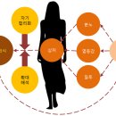 헤세드 이미지