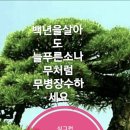 행복한하루 이미지