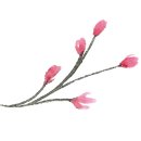 손수당 이미지