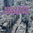 스카이전 | 도쿄 시부야 스카이 전망대 후기｜야경, 예약팁, 방문 전 체크리스트까지!