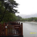 의림지-05 이미지