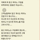 영창삼익야마하분당중고피아노조율악기수리 | 실용음악 입시 준비생이 선택한 중고 영창 피아노 조율 후기