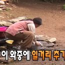 유쉐프의도시어부 이미지