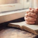 (주)시와사람 Daum카페