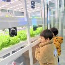 대야물누리체험관 이미지