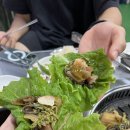 제주흑돼지백돼지 이미지