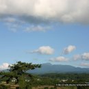 노을과포도향기 이미지