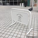 코스모스 오아시스 이미지