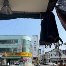 애니카랜드토월점 이미지