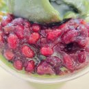 빙아이스크림 - 성남시 수정구 공원로339번길 14 | 메가커피 컵빙수 2종 비교! 말차 젤라또 vs 팥빙 젤라또 파르페 후기