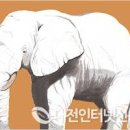 흰 코끼리꿈, 코끼리 똥 꿈, 집에 코끼리가 들어오는 꿈해몽 이미지