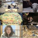 삼시세끼푸드 이미지