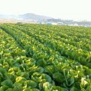 만호농장 이미지