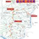 #제139차 숲소리 4월 하동촛대봉&쌍계사벚꽃길 정기산행 안내 이미지