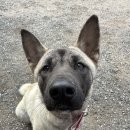 강화촌놈 그랑빌펜션 이미지