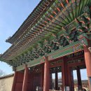 창경궁 홍화문 옆 | [역사체험]창경궁 명정전 어도를 걷다: 정조가 세운 품계석 위에서 임금이 되는 시간"