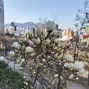 숲스토리 본점 이미지