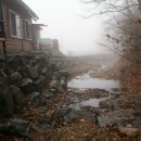 송골농장 이미지