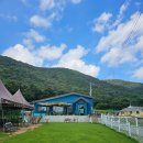 코코블리 애견운동장 이미지