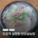 한양탕 | 마포 도화동 설렁탕 맛집 한양설농탕, 점심메뉴로 고른 한양탕 후기