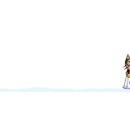 국수나무문경