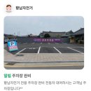 참조은어린이집차량(1대) | 여행 ) 6인 4인 전동차 대여 비용 코스 방법 면허 총정리｜황리단길에서 첨성대까지 아이랑 타본 후기