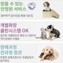 분당 강아지 장례 장례식장 공감과 사랑이 깃든 공간에서