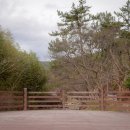 옥류천이야기길(소나무숲길) 이미지