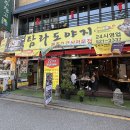 탐라제주도야지 이미지