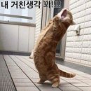 피아니스트가 말해주는 영화와 오페라 이야기 | 서영은의 『내한 콘서트』가을편 후기와 서영은 이야기