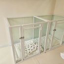 멍빨털빨 이미지