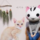 🌸고양시 봄 나들이 추천 — 일산 호수공원 &amp; 국제꽃박람회 후기