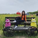 토마토댄스스포츠학원 이미지
