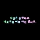 파레