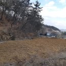 반곡1리 이미지