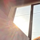 남양빨래방 | [혼놀기록] 망원동 카페 필담, 조용하게 집중하기 좋은 카공 카페 추천