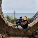 개스토랑 인 위촌길 299 이미지