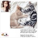은정세탁 이미지