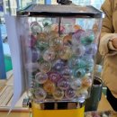 뽑기훈련소 이미지