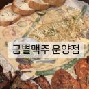 금별맥주 운양점 이미지