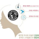 탈모야놀자 이미지