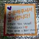 냥냥타코 이미지