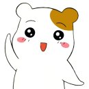 올인모텔 이미지