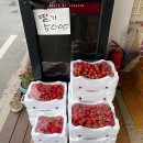 신동아농장 이미지