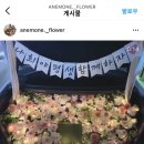 아네몬느