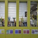 꿈꾸는석사태권도 이미지