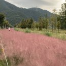 논공공단주유소 이미지