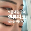 엘뷰띠끄 | 서울대입구속눈썹연장-엘뷰띠끄/속눈썹연장후기!!