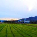 정다운마을 이미지