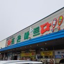 [여행일기] 가평 글램핑 여행 또바기 애견 글램핑 펜션 후기 숙소 정보